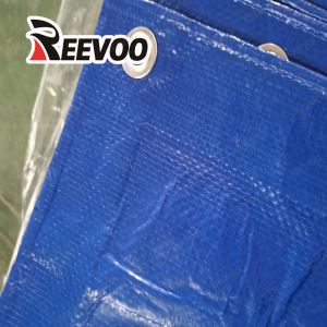 PE Tarps Apvalki Agricluture