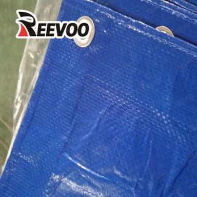Tarp Cover